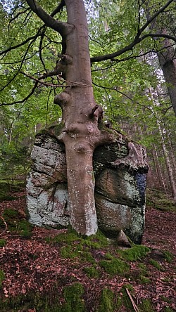 Strecke