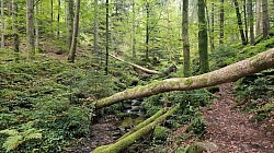 Strecke