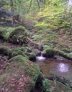 Strecke